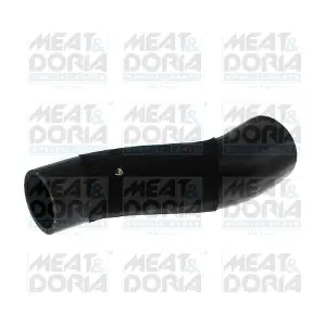 961686 MEAT & DORIA