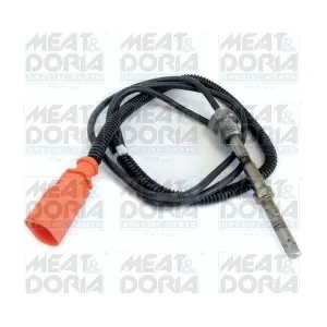 12163 MEAT & DORIA