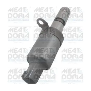 91568 MEAT & DORIA