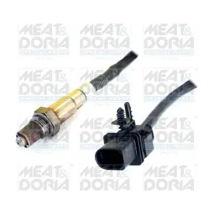 81763 MEAT & DORIA