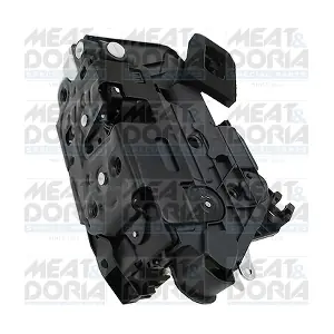 31385 MEAT & DORIA