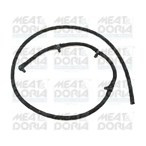 9858 MEAT & DORIA