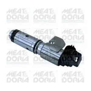 91595 MEAT & DORIA