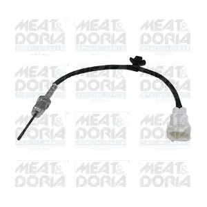 12174 MEAT & DORIA