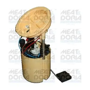 77020 MEAT & DORIA