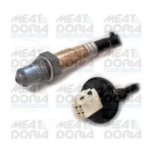 81797 MEAT & DORIA