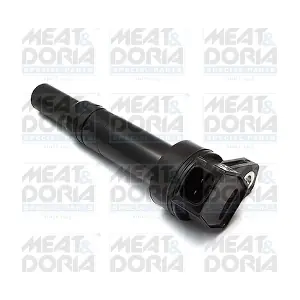 10620 MEAT & DORIA