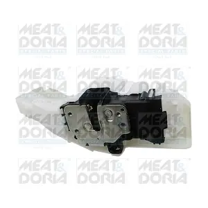 31106 MEAT & DORIA