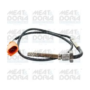12338 MEAT & DORIA