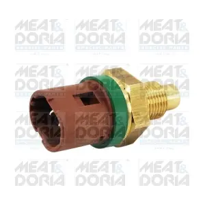 821029 MEAT & DORIA