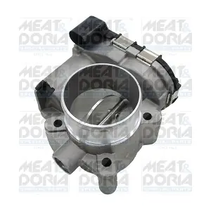 89286 MEAT & DORIA
