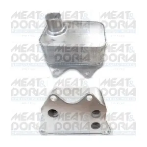 95009 MEAT & DORIA