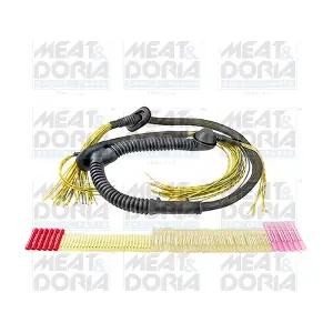 25081 MEAT & DORIA