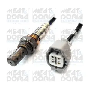 81557 MEAT & DORIA