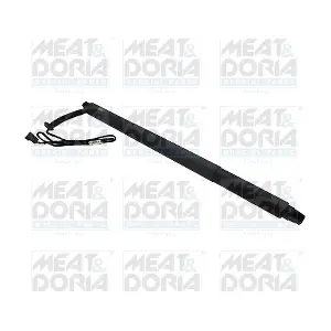 301019 MEAT & DORIA