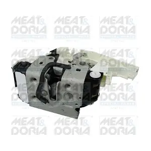 31373 MEAT & DORIA