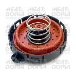 91612 MEAT & DORIA
