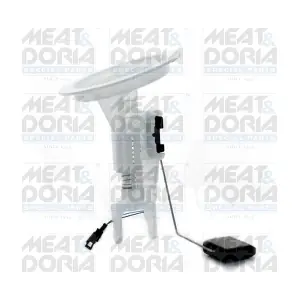 79446 MEAT & DORIA