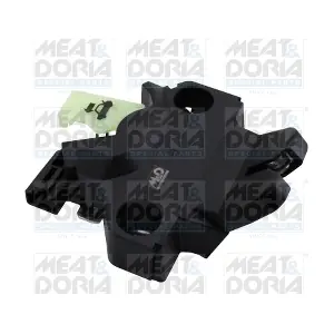 31881 MEAT & DORIA
