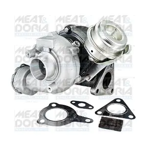 65065 MEAT & DORIA