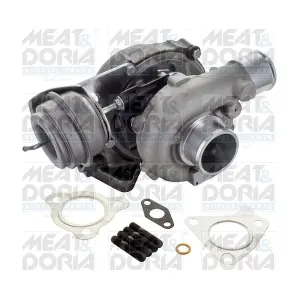65548 MEAT & DORIA