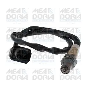 811135 MEAT & DORIA
