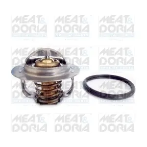 92838 MEAT & DORIA
