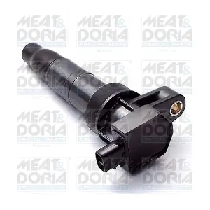 MEAT & DORIA 10618