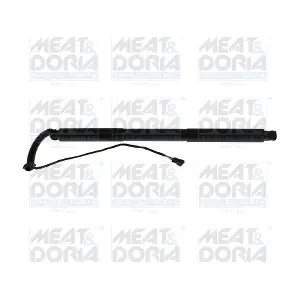 301108 MEAT & DORIA