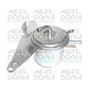 4124 MEAT & DORIA