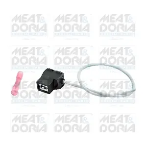 25132 MEAT & DORIA