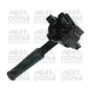 10733 MEAT & DORIA