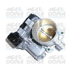 89193 MEAT & DORIA