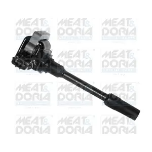 MEAT & DORIA 10587