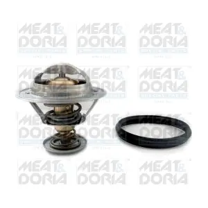 92825 MEAT & DORIA