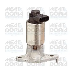 88037 MEAT & DORIA