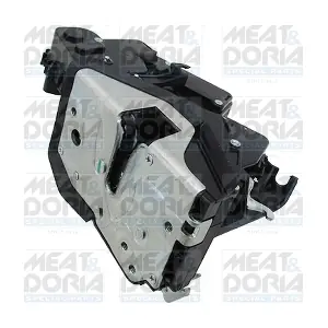 31666 MEAT & DORIA