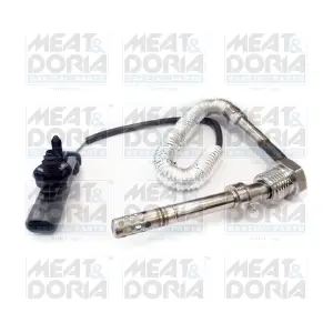12010 MEAT & DORIA