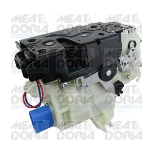 31377 MEAT & DORIA