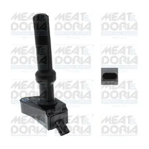 10883 MEAT & DORIA