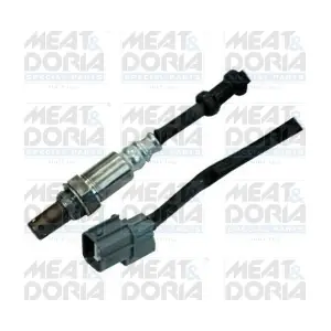 81725 MEAT & DORIA