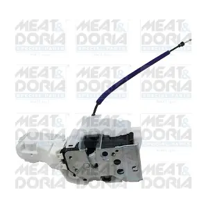 31335 MEAT & DORIA
