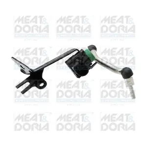 38036 MEAT & DORIA