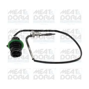12729 MEAT & DORIA