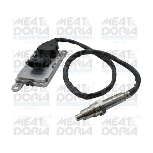 57159 MEAT & DORIA