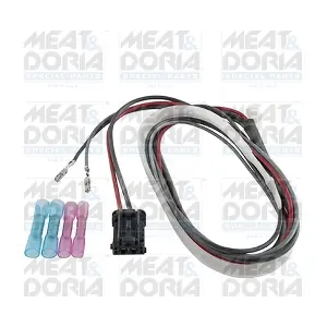 25163 MEAT & DORIA