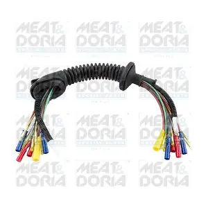 25022 MEAT & DORIA