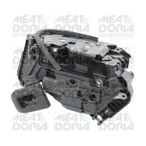 31591 MEAT & DORIA