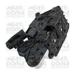 31383 MEAT & DORIA