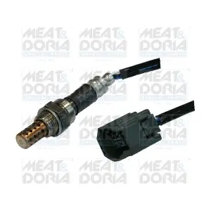81594 MEAT & DORIA